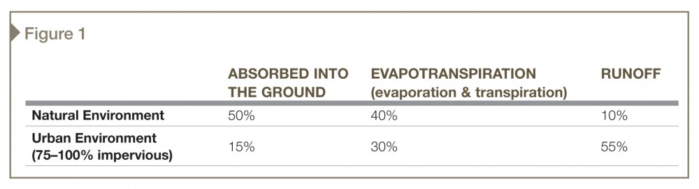 Destination of water after rainfall. Data courtesy EPA, Water Quality Facts, www.epa.gov/owow/waterqualityfacts.html. 