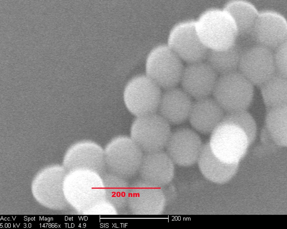 Colloidal silica is a liquid dispersion of very small, spherical particles of pure silica. The particles used in the finishing aid are about 5 nm (less than 2 ten millionths of an inch)—so small it is difficult to image them even with an electron microscope. (The particles seen here are under electron microscopy are much larger at about 115 nm.) This gives them a vast surface area proportional to their weight, and makes them highly reactive.