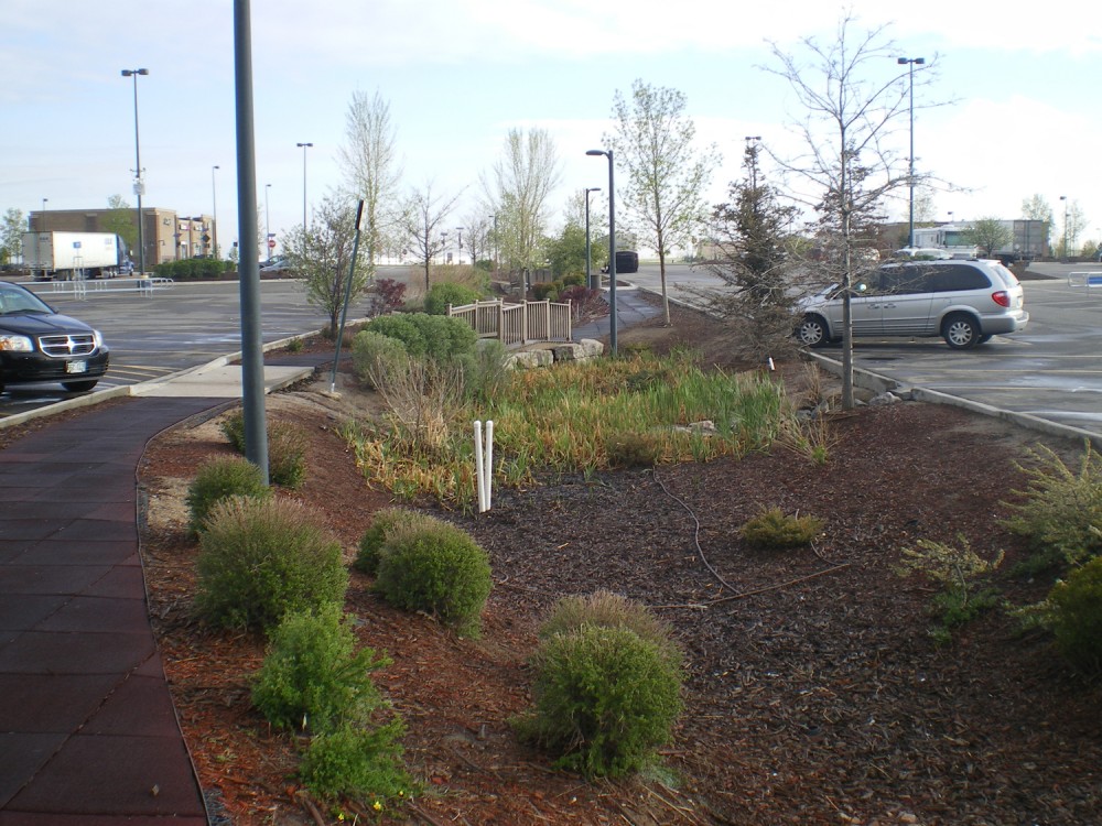 An interactive bioswale at a big box store with a pedestrian bridge connecting the paths.