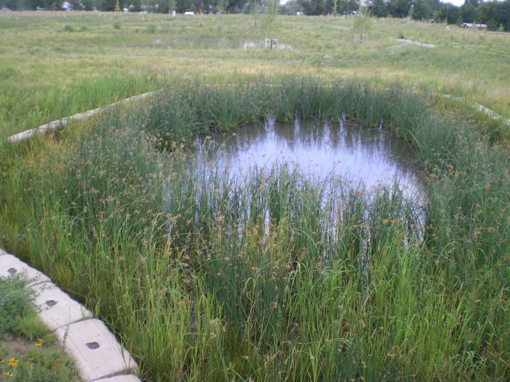 Detention pond fore bays designed with a base made of void structured concrete offer designers the opportunity to have naturally cleansing and appealing vegetation in the pond and still offer the ability to perform scraping maintenance to remove sediment without destroying the vegetation.