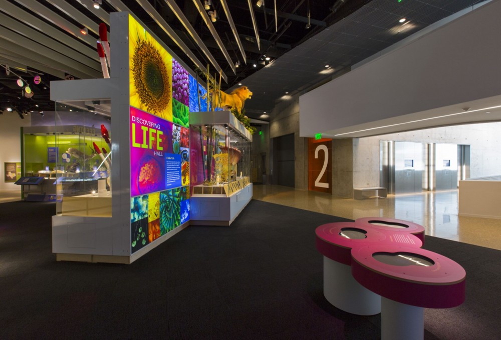 Perot Museum’s Discovering Life Hall is a popular educational space. Under the Green Globes program, the facility achieved an overall rating of 85 percent. It had perfect scores for site design and enhancement measures to minimize the building’s impact, as well as for its integrated design process, integration of environmental purchasing, commissioning plan, and emergency response plan. 