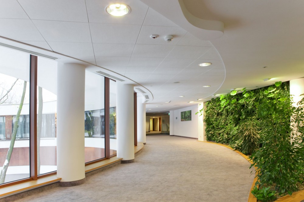 Stone wool ceilings offer good sound absorption, high light refl ectance, fi re protection, and humidity resistance. These panels are well-suited to create modular ceiling designs, such as long corridors.