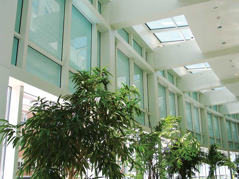 integrated-louvers-curtain-wall