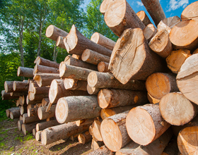 The new edition of grading rules for lumber is here! 