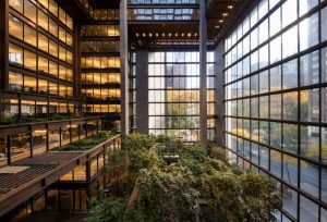 The redesigned New York City headquarters of the Ford Foundation features an indoor garden. Photo © Simon Luethi. Photo courtesy Ford Foundation