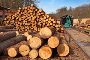 The U.S. Green Building Council (USGBC) has announced a new Timber Traceability Leadership in Energy and Environmental Design (LEED) pilot credit to increase transparency in timber supply chains and reduce the risk of illegally harvested wood entering the buildings industry. Photo © BigStockPhoto.com