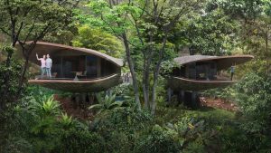 Treehouses at the resort in Mandai, Singapore, are designed to co-exist and blend in with the surrounding environment. Images courtesy Mandai Park Holdings