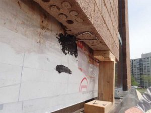 Masonry veneer wall tie at repair area. Note the appropriate placement of the tie in relation to the brick and that anchor holes are sealed.