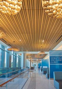 Linear wood veneered ceiling panels at the Miami Cancer Institute, Florida, impart a quiet connection to nature while serving as a wayfinding tool. The panels are backed with an acoustical fleece to control noise.