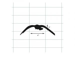 Figure 2: A guideline for bird-safe patterns based on research and testing is the ‘2x4’ rule, which stipulates glass patterns should be placed no more than 50 mm (2 in.) apart vertically or 100 mm (4 in.) apart horizontally.