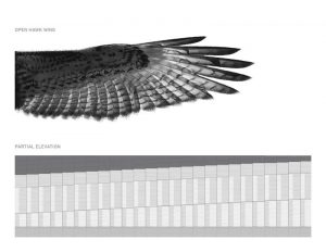 The façade at Kinnick Stadium is shaped like the open wing of a hawk.