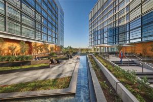 The commitment of Washington, D.C., to responsible stormwater management has helped it become a leader in the use of vegetative roof assemblies. Photo courtesy the Wharf, Washington, D.C.