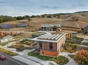 The Leadership in Energy and Environmental Design (LEED)Platinum-certified Sonoma Academy building in Santa Rosa, California, utilizes cross-laminated timber (CLT) for a portion of its roof deck, photovoltaics (PV) for energy generation, and a green roof that helps insulate and cool the underside of the PV panels. Integral Group designed the PV system and provided energy modeling for the project designed by WRNS Studio. Photo © Michael David Rose