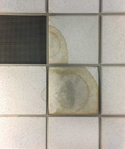 Porous ceiling panels can be damaged by water from leaks, spills, cleaning solutions, and condensation from chilled pipes and equipment and thermal short circuits through the building envelope. Discoloration is caused by contaminants in the water and by colonies of microorganisms feeding on starch and other organic materials in panels. Cleaning is not practical since stains penetrate the surface.