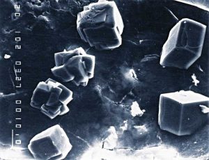 Scanning electron microscope (SEM) view of a concrete pore.