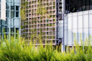 More than 600 architects participated in hundreds of virtual meetings with Congress for AIA’s Capitol Hill Day to secure $300 billion to support climate action and resilient design. Photo © BigStockPhoto.com