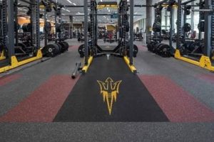 Arizona State University used a high-performance flooring solution during the remodel of its student fitness center to transform it into a space that fosters health, wellness, engagement, and community. Photo courtesy Ecore