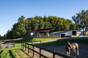 The sculptor's studio in relation to another farm house building.