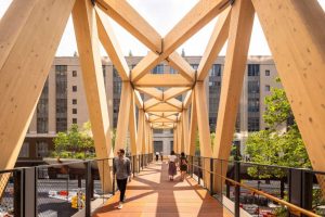 The Timber Bridge is a 79.2 m (260 ft) long glulam Warren truss made of sustainable wood (Alaskan yellow cedar).