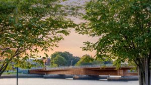 Photo showing the curvature of the bridge's form. The bridge's overall structure is metal over which curved timber slats were overlaid.