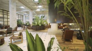 Hotel Emery in downtown Minneapolis uses daylighting and melds biophilic elements with the bustling cityscape.