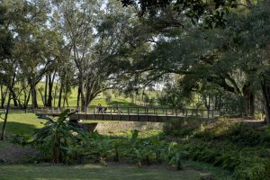 The Bonnet Springs Valley was created by the natural eroding processes of the Bonnet Springs,a sand seep spring.