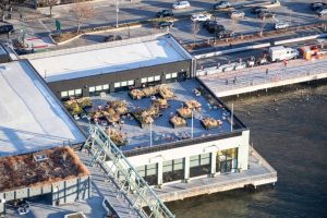 The expansive dining area with twenty reconfigurable robotic planters guided on tracks and mechanically operated with mobile power, data, and irrigation systems.