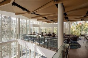 The mezzanine level of the center with sunlight dappled in through the perforated screen, resembling being filtered through bushy treetops.