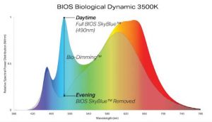 This graph shows the full spectrum of wavelengths and light temperatures throughout a 24-hour wellness lamp’s daily cycle.