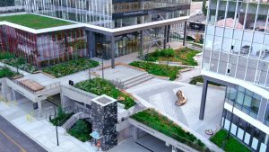 The elevated landscape of the development weaves throught he public plazas.