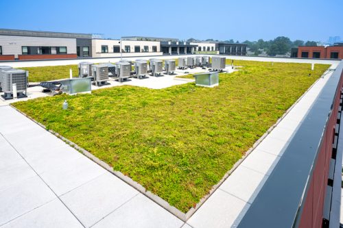 A sustainable green roof with lush vegetation and HVAC equipment on top of a modern building, designed to improve energy efficiency and environmental impact.