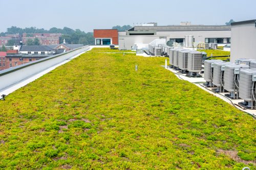 A green roof covered with vegetation alongside HVAC systems on a modern building, enhancing sustainability and energy efficiency while blending with the surrounding urban landscape.