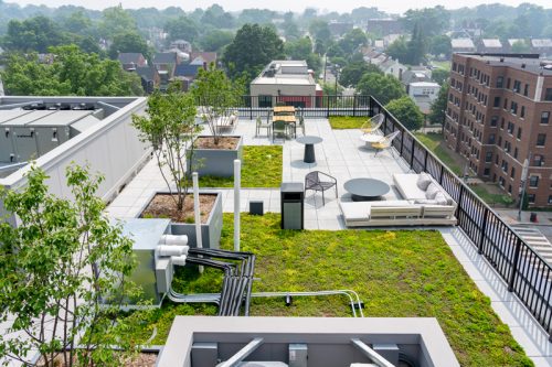 Rooftop garden with seating, trees, and greenery. Overlooks urban neighborhood with buildings and trees in the background.