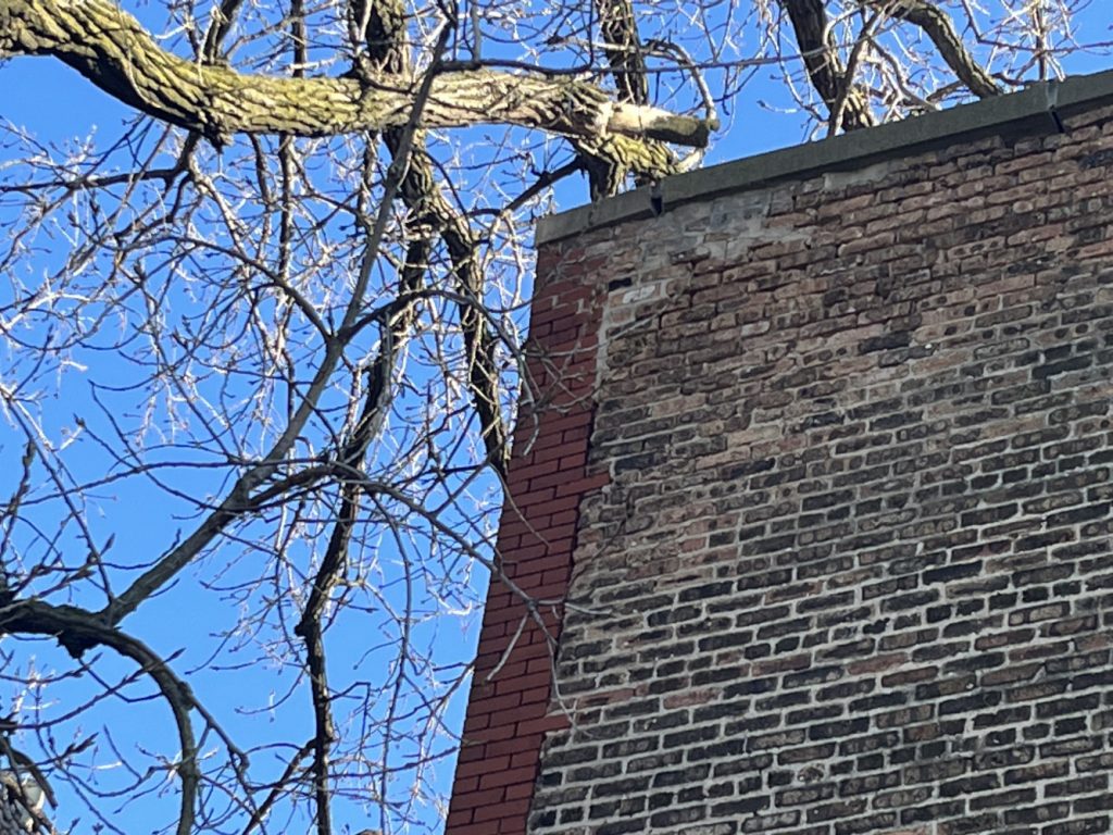 A weathered brick wall with a partially exposed red-brick section, set against a clear blue sky. Bare tree branches extend across the frame, some covered in frost.