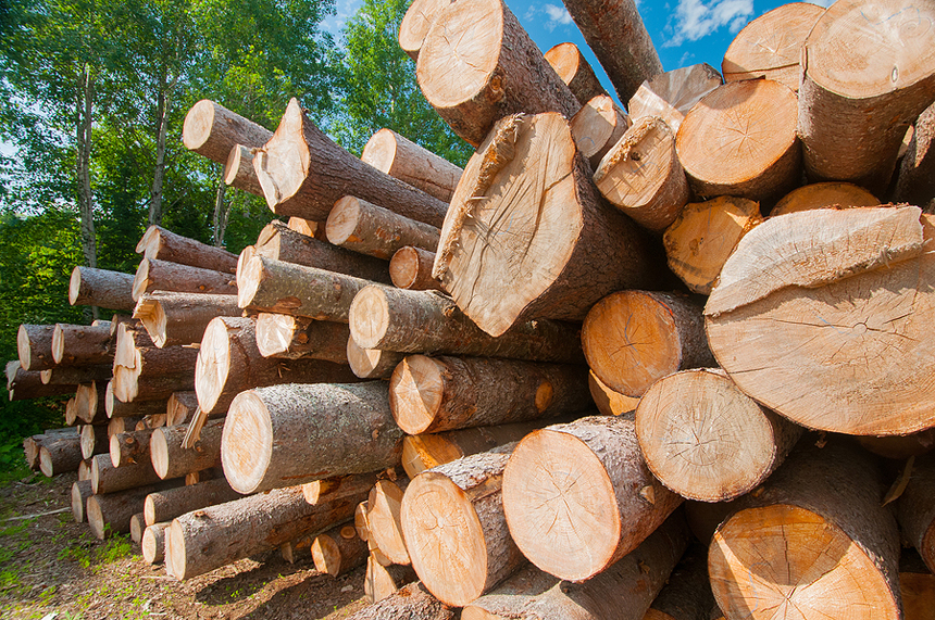 Close up of logs stacked at lumber mill.